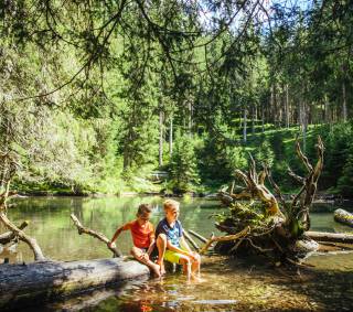 Kinder im Wald Sommerurlaub Familienurlaub